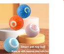Interactive Smart Dog Toy Ball